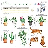 decalmile B08P6KSZ95 lato 4