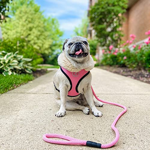 Image of Gooby Mesh Leash, Pink, 4 FT | Climbers-rope core, polyester mesh; 4 ft; All-weather; Bolt-snap clasp; Machine washable; Mix-and-match