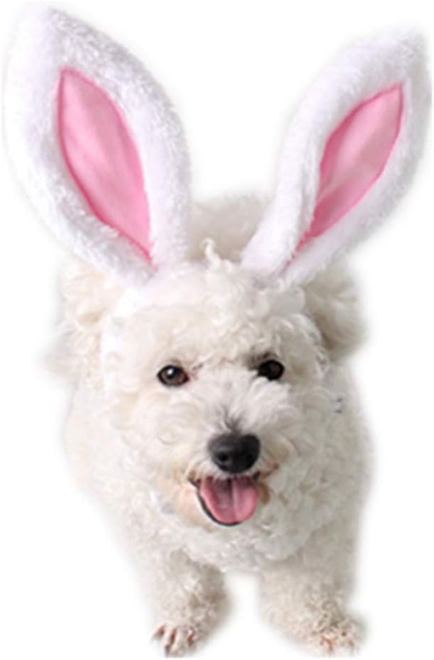 Disfraz de Conejo con Orejas para Perro y Gato, Talla S, Blanco