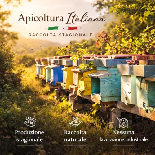 Miele Di Melata 100% Italiano – Sapore Intenso, Non Pastorizzato 500 G – Miele Febbraio - 3
