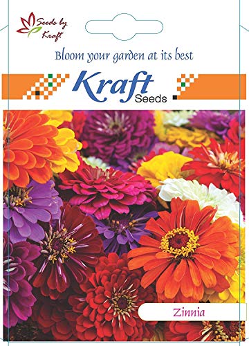 Image of Kraft Seeds 8-inch Garden Balcony Flowering Planter with Bottom Plate /Tray (Red /Terracotta, Pack of & Zinnia Dahlia Flowers Mix GMO-Free Seeds (Multicolour) Combo
