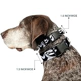 Buckle-Down Obroża dla psa plastikowy klips koszmar przed Bożym Narodzeniem Zero Expressions czarny biały od 11 do 17 cali szerokości 2,5 cm