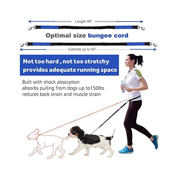 Hands Free Dog Leash for Walking Buy Online