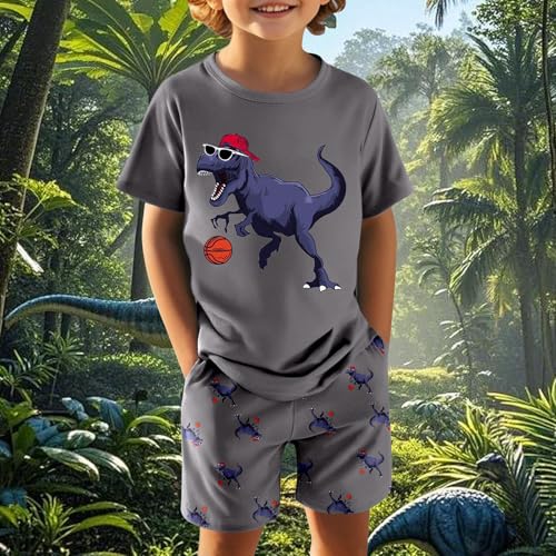 Boys Dinosaur Graphic Tee and Shorts Matching Set for Casual Play and Athletic Activities3