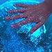 Bioluminescent Dinoflagellates