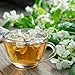 Alpi Nature Té de Jazmin Orgánico 100g Imagen de Alpi Nature Té de Jazmin Orgánico 100g