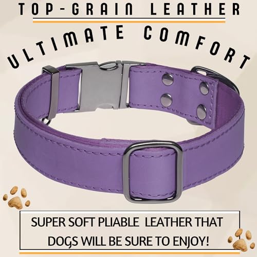 Image of ADITYNA Leather Dog Collar for Large & Extra Large Dogs, Adjustable 19-30 inch | Padded, heavy-duty metal buckle. Great for walking, training - ideal for Rottweiler, German Shepherd, Mastiff and Great Dane.