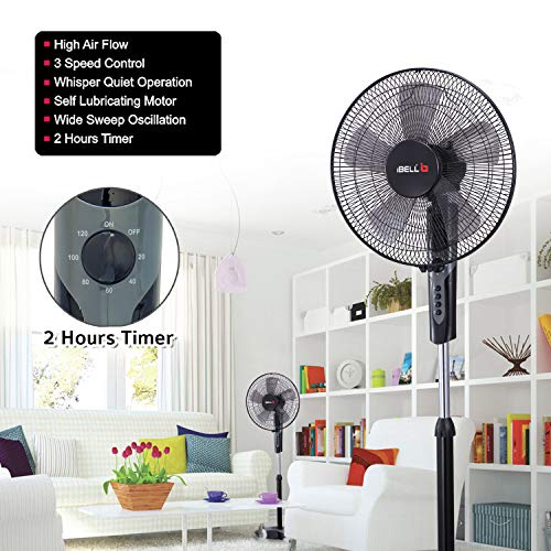 Image of IBELL CHROME10 Pedestal Fan | Adjustable Height & 2hr Timer | 5-Leaf Design | High-Speed Performance | 100% Rust Free | 2-Yrs Warranty 【Black】