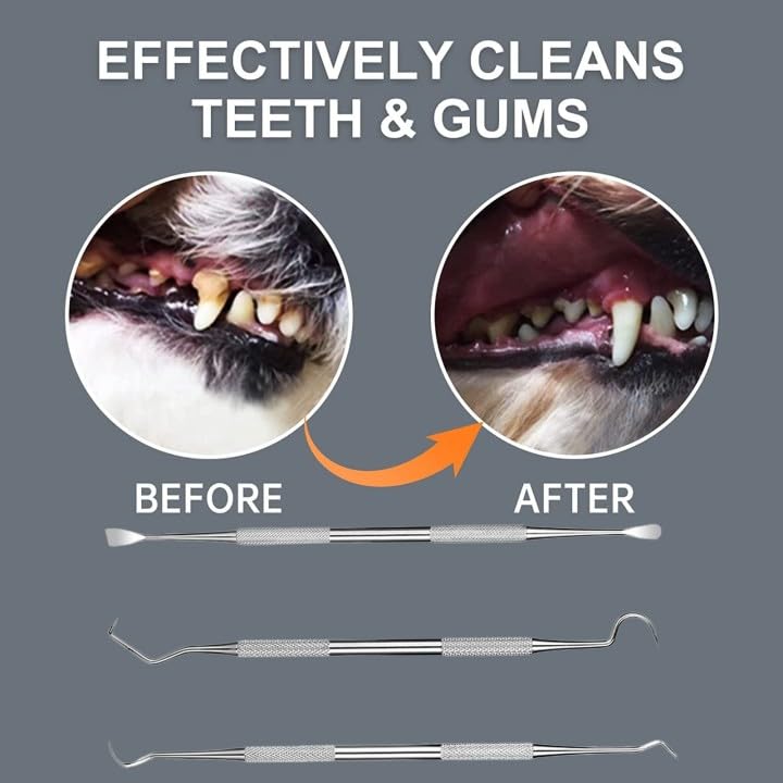 Outil De Nettoyage Des Dents Pour Animaux, 3 Pièces Acier Inoxydable
