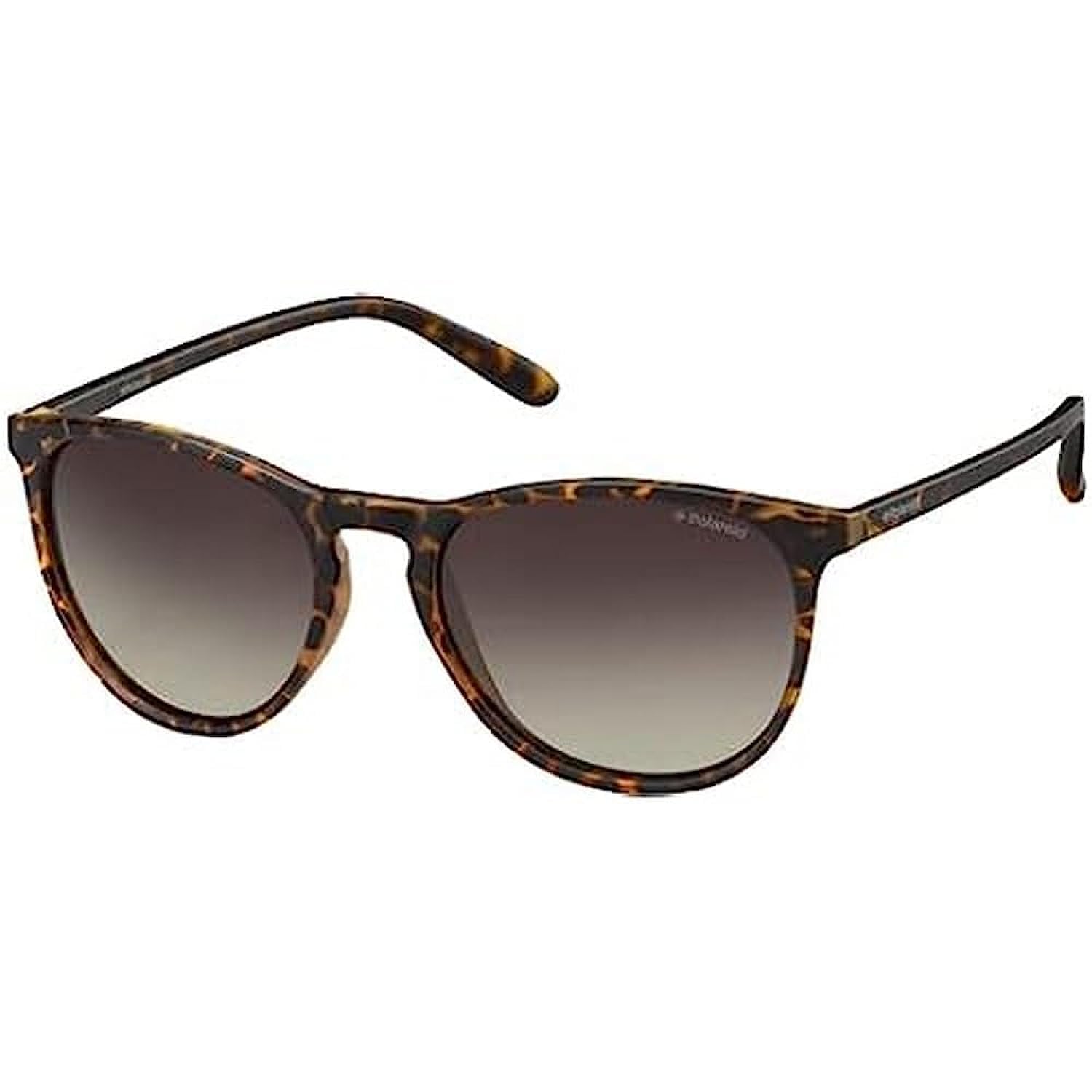 PLD 6003/N/S Havana/Brown Shaded Polarized 54/19/140 men Sunglasses