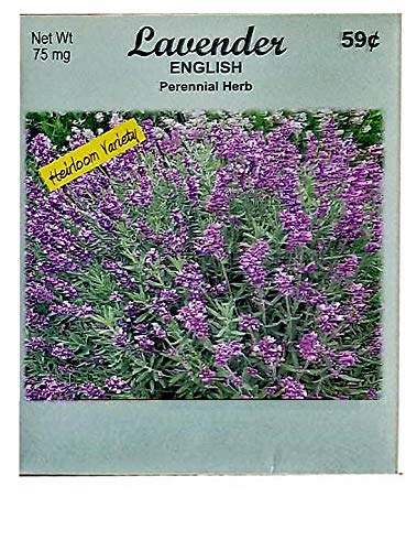 Valley Greene 50 Seed Packets