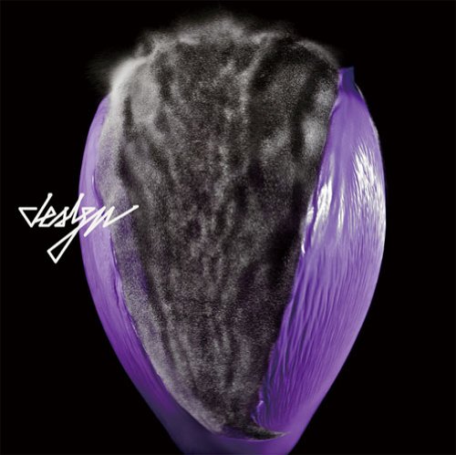 DESIGN (16) - D.E.S.I.G.N. - Disque CD