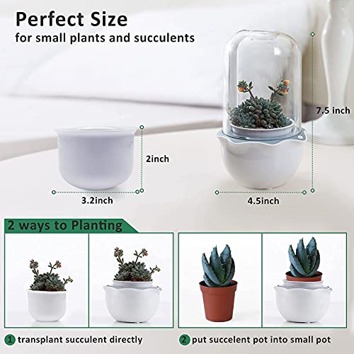 Succulent Pot With Grow Light,Smart Succulent Planters With Timer And Fan,Small Indoor Plant Pots With Drainage Hole For Tabletop Plant,Ideal Gift For Valentine's Day,Wife,Mom,Birthday(No Plant) #TOP5