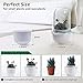 E SUPEREGROW Smart Venus Fly Trap Terrarium Pot with Timer&Fan, Carnivorous Plant Pot with Grow Light, Plant Terrarium Kit for Butterwort, Christmas Birthday Gifts for Women Garden Lover (No Plant)