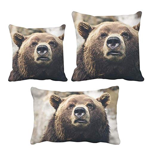 Housse de coussin ours sauvages DIYthinker pour déco canapé salon - 2