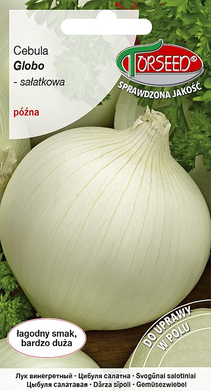 Verdica Globo Allium cepa Graines d'oignon – Saveur douce, grandes bulbes idéales pour les salades, poids de 300 g à 800 g, maturité tardive, durables et écologiques