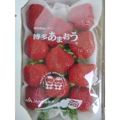 ґȌǂA܂ DX-1Pɏ̃XC[glX