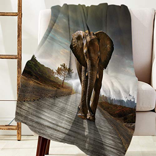 Beauty Decor Animal Bed Blanket 50X60 Inch Flannel Blankets African Elephant Elephant On The Highway Throw Blanket For Bedroom Living Rooms Sofa Throw Cover #TOP12