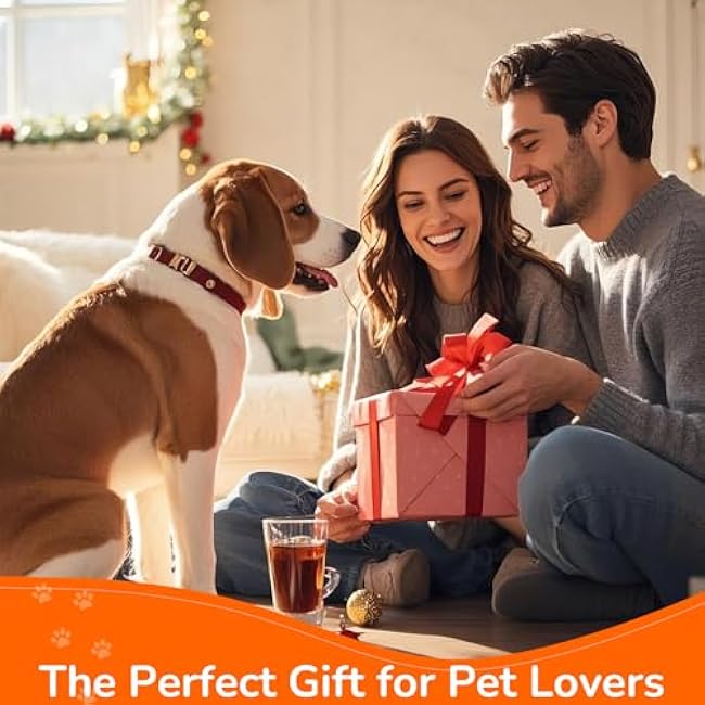 Electrostatic Pet Hair Removal Gloves for Cats Dogs Reusable Pet Hair Remover Tool Mitt for Clothing Furniture Couch Carpets and Car Seats 2PCS-iHW4PWSE