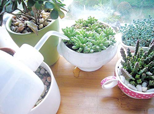 image for SYBL 2PCS White Plastic Bent Tip Squeeze Bottle Storage Wash Cleaning 