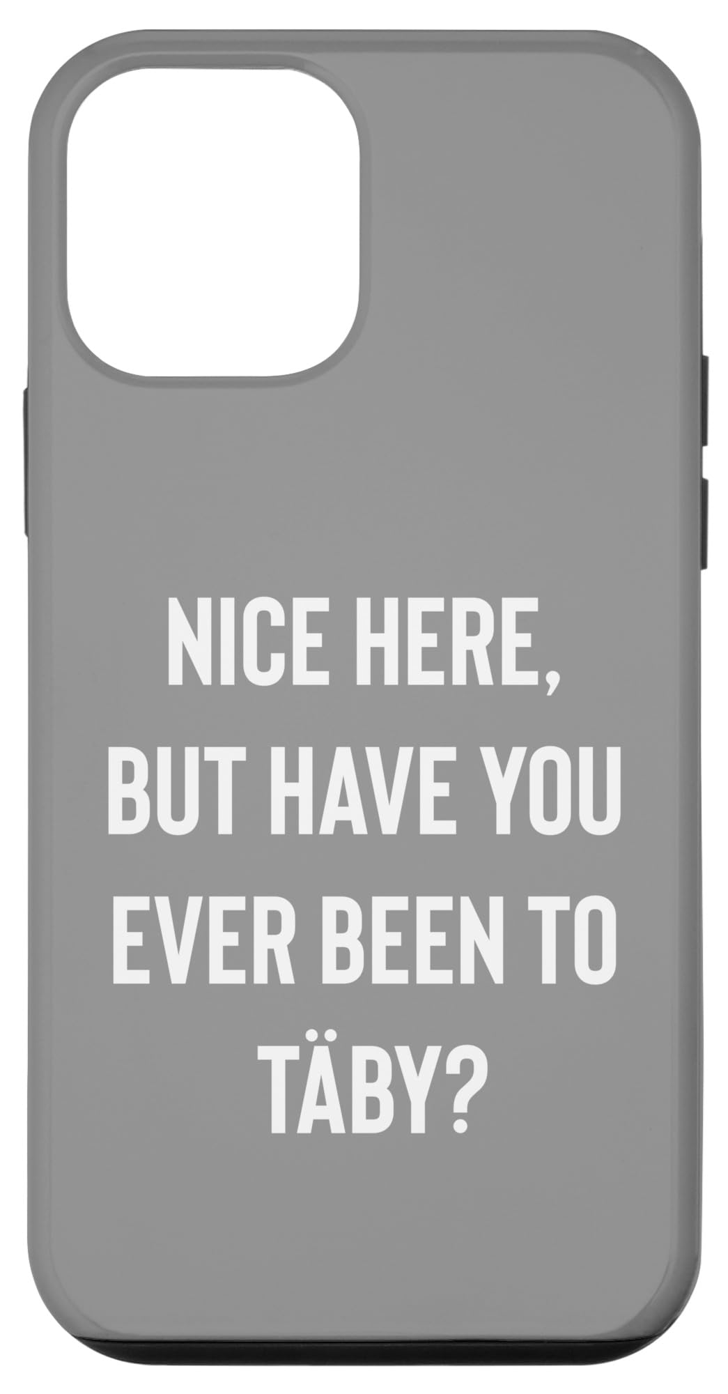 iPhone 12 mini Nice Here But Have You Ever Been To Täby Case