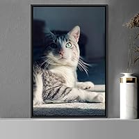 Framed Canvas Wall Art Cat Animals Cat Chic Multicolor Photography Urban - 16x24 inches