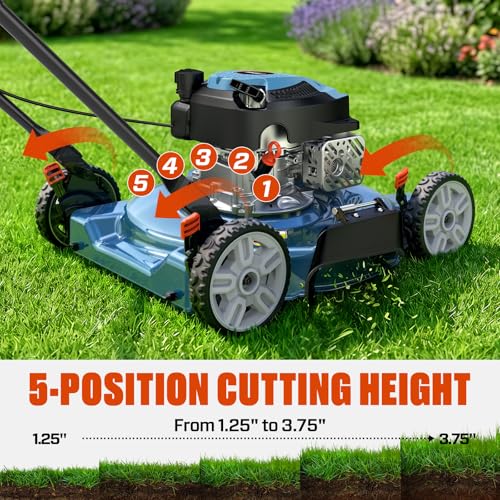Image of SENIX 144 cc Gas Lawn Mower, 20 inch 4-Cycle Push Mower, Side Discharge, 5 Position Cutting Height Adjustment, Low Noise & Fuel-Efficient for Lawn, Yard and Garden (LSPG-L5)
