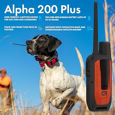 Garmin Alpha 200 Plus Dog Tracking and Training GPS Handheld Bundle with Alpha TT 25 Dog Collar, Tracking and Training Collar Bundle with Field Bag and More Accessories