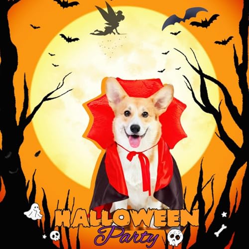 Disfraz de vampiro para perros grandes Halloween miniatura 4