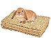 CAMITER Tapis de Lapin, Tapis d'herbe pour Les Lapins, Tapis d'herbe Naturel tissé à la Main pour Petit Animal de Compagnie Jouet à mâcher Lit pour Hamster, Cochon, Lapin et Perroquet - 4 pièces
