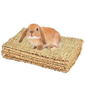 CAMITER Konijnentapijt, grasmat voor konijnen, handgeweven natuurlijk grastapijt voor kleine huisdieren, kauwspeelgoed, bed voor hamsters, varken, konijn en papegaai – 4 stuks