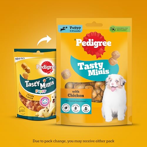 Image of Pedigree Tasty Minis Puppy (4+ Months) Dog Treats, Chicken Flavour, 125 g, Contains Omega 3, Vitamin E & Calcium, Supports Strong Bones & Teeth