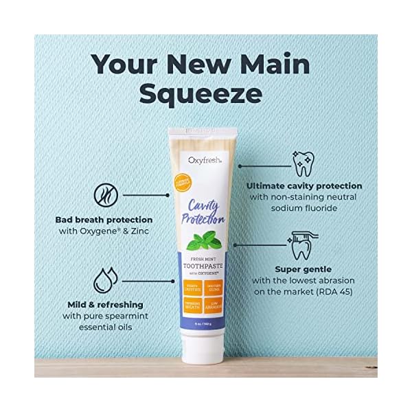 Premium Oxyfresh Cavity Protection Fresh Mint Fluoride Toothpaste