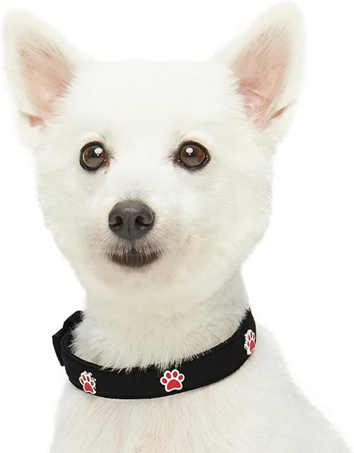 Amazon Brand - Umi Cute Paws Designer Dog Collar in Black with Metal Buckle, Neck 43cm-52cm, for Large Breed