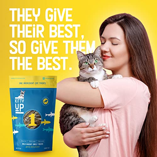 Kitty Up 1 Ingredient Wild Caught Smelt Treat - Gently Dehydrated Fish Cat Treats - High In Omega 3, Protein, Grain Free, Low Fat, Low Calorie - All Natural Cat Treats Made In The Usa - 3 Oz Bag #TOP2