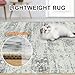 8x10 Area Rugs for Living Room - Washable Rug Modern Abstract Soft Large Neutral Non-Slip Carpet Indoor Floor Stain Resistant Thin Carpets for Bedroom Dining Room Farmhouse Nursery Home Office Grey
