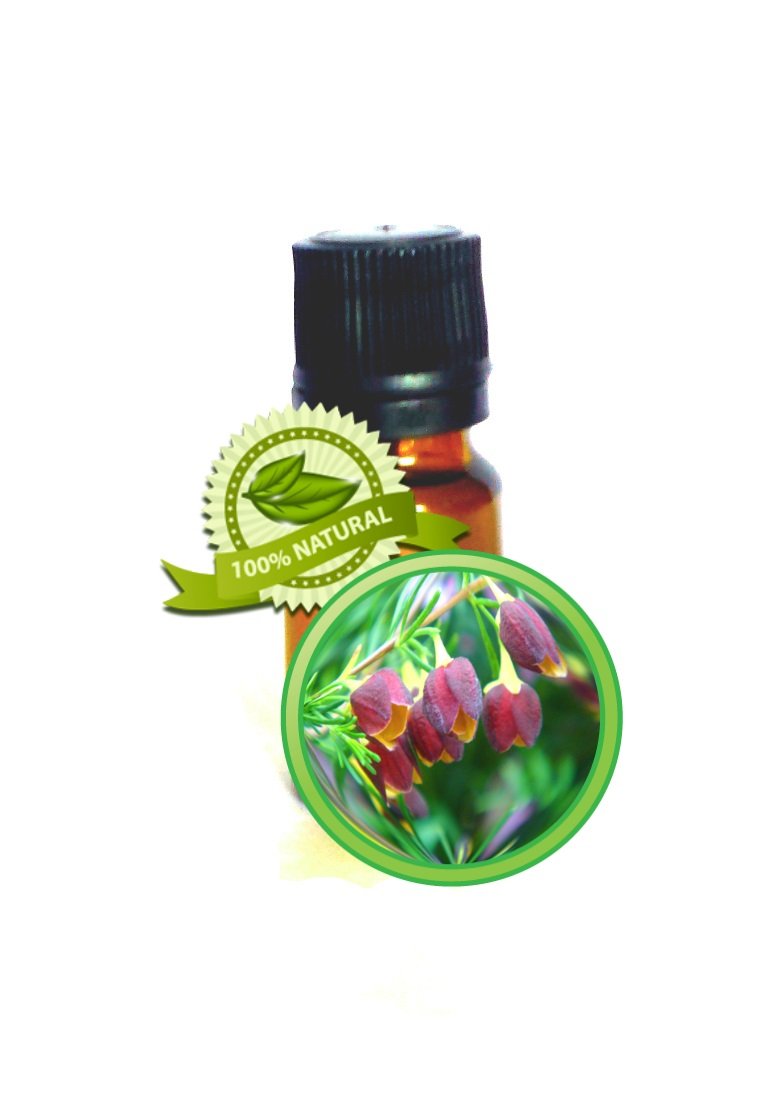 Boronia Absolute Oil - 100% PURE Boronia Megastigma - 10ml (1/3oz)