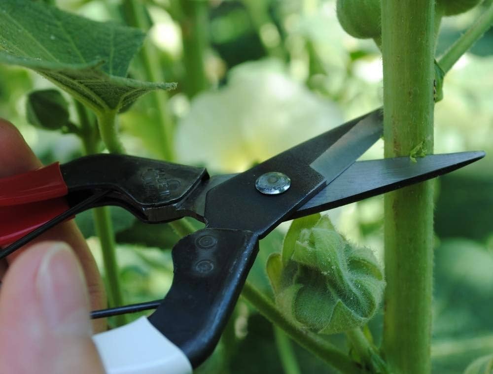 Amazon | 岡恒(Okatsune) 摘果鋏 180mm NO.307B | 園芸用はさみ