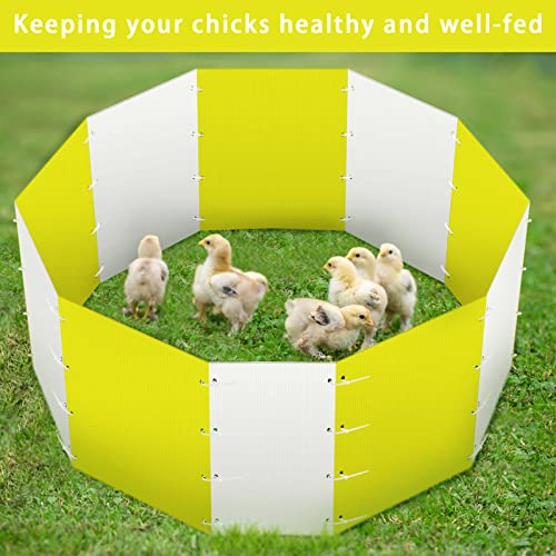 Chicken Brooder Box, Safe Reusable Corral Chick Starter Home, 10 Pcs Hollow Corrugated Boardsbaby Chicken Supplies With Holes Of Home Poultry Essential For Baby Chick, Duck And Quail (Yellow & White) #TOP3