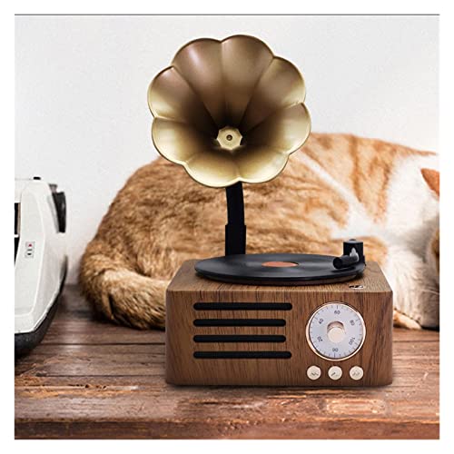 Tourne-Disque Vinyle Radio rétro Portable Mini Radio FM Haut-Parleur Bluetooth boîte à Musique MP3 Tourne-Disque Vintage avec Prise en Charge du Microphone TFCard/AUX Play - Les Beatles, Paul McCartney, John Lennon, RIngo Starr, George Harrison Tourne-Disque Vinyle Radio rétro Portable Mini Radio FM Haut-Parleur Bluetooth boîte à Musique MP3 Tourne-Disque Vintage avec Prise en Charge du Microphone TFCard/AUX Play