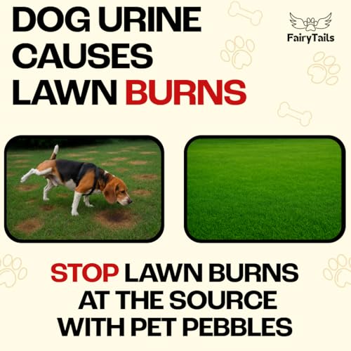Fairy Tails Pet Pebbles – Natürlicher Hunde-Urin-Neutralisierer für Wassernäpfe, Grasreparatur, Urinverbrennungsflicken-Reparatur/Fleckenverhinderer für Haustiere