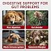 Probiotics for Dogs Digestive Health - Probiotic Chews for Gut Health, Itchy Skin Yeast, Diarrhea - USA Product - Immune Support Supplement - Dog Digestive Support & Allergy Relief Chews with Enzymes