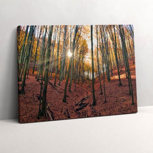 Peinture murale d'art Coucher de soleil Wallfluent Tableaux salon