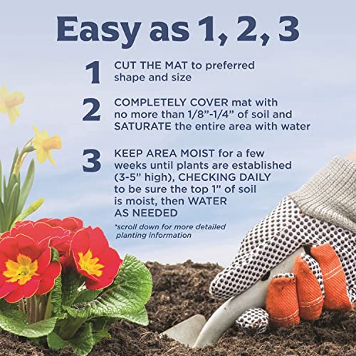 Bloomingbulb Seed Mat - Easy To Plant And Grow Garden Seeds - Creates Fragrant, Vibrant Flower Garden (Easy Care Children's Mix) #TOP4