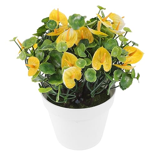 HOMOCONO AXElH~ ^tFCNA fXNgbvϗt |GXe ϋvH rO ItBX Lb`p CeAO[