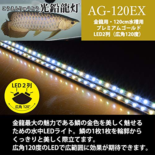 Amazon.co.jp: でんらい 水中照明 アロワナライト LED 金龍 水槽ライト