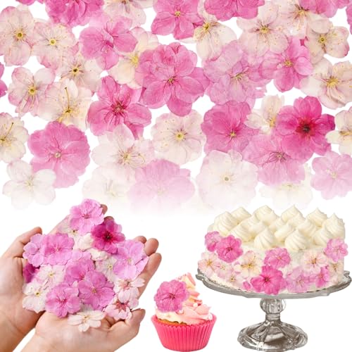 Fangkic 80-Piece Pressed Flower Toppers