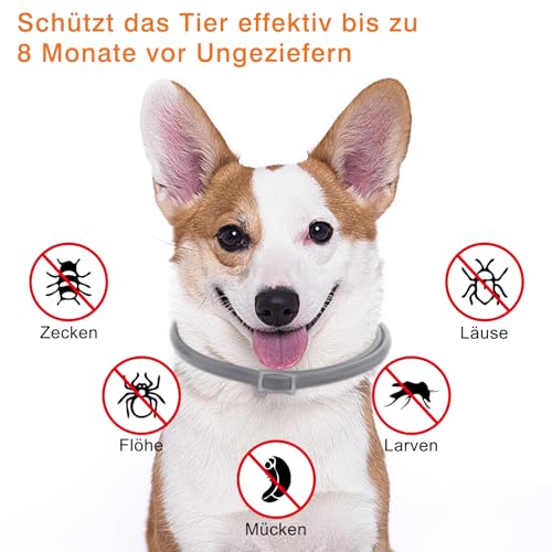 DEWEL Hundehalsbänder gegen Ungeziefer, 63,5cm Verstellbar Anti Floh und Zecken Halsband für Hunde, Wasserdicht Flohhalsband