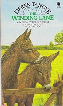 Paperback The Winding Lane Book