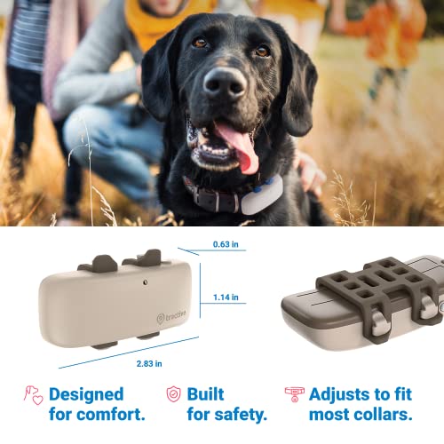 Tractive Gps Pet Tracker For Dogs - Waterproof, Gps Location & Smart Activity Tracker, Unlimited Range, Works With Any Collar (Coffee With Forest Cover) #TOP3